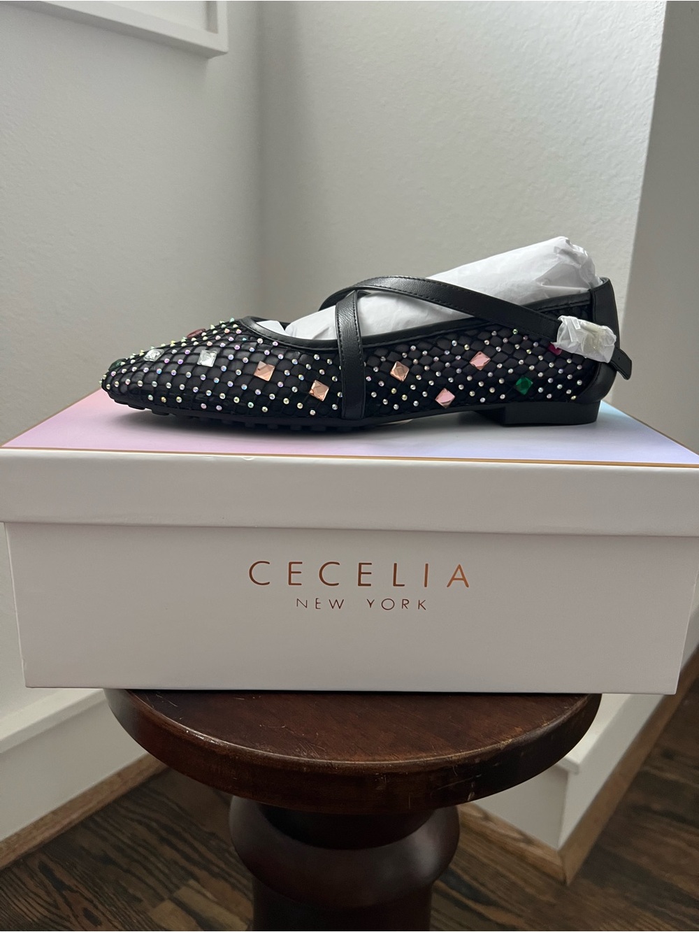 CECILIA NEW YORK Black Pointed Studded Ballet Flat